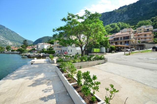 Nikola Lux Apartments Muo Εξωτερικό φωτογραφία